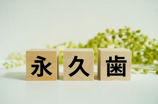 永久歯が生えてこない原因や対処法について解説するイメージ