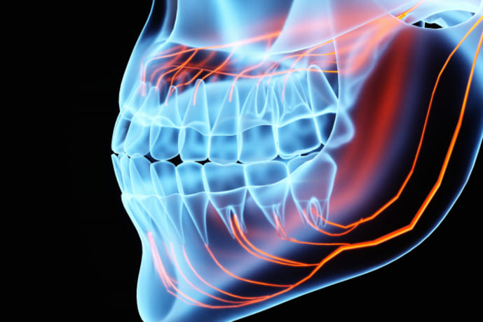三叉神経と歯の関係 神経経路と歯痛の原因を示したイメージ図