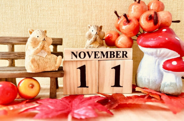 手代木歯科_11月の矯正日お知らせ