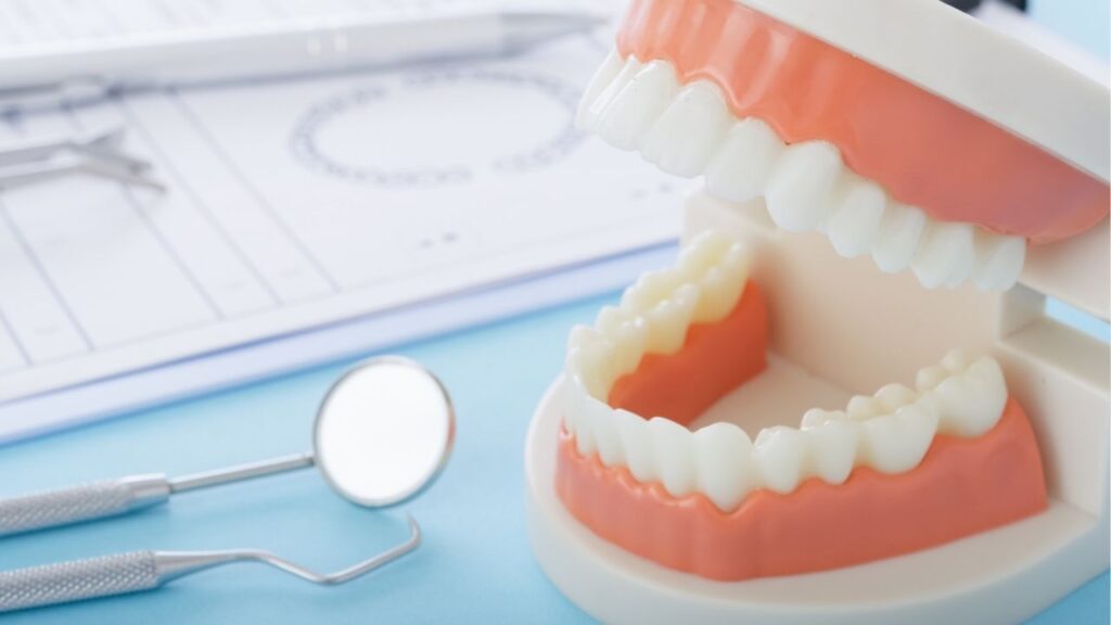 スケーラーと歯科模型