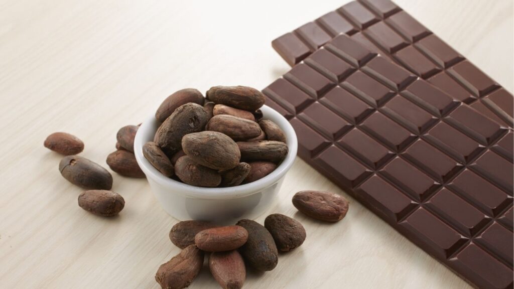 カカオ豆と板チョコレート